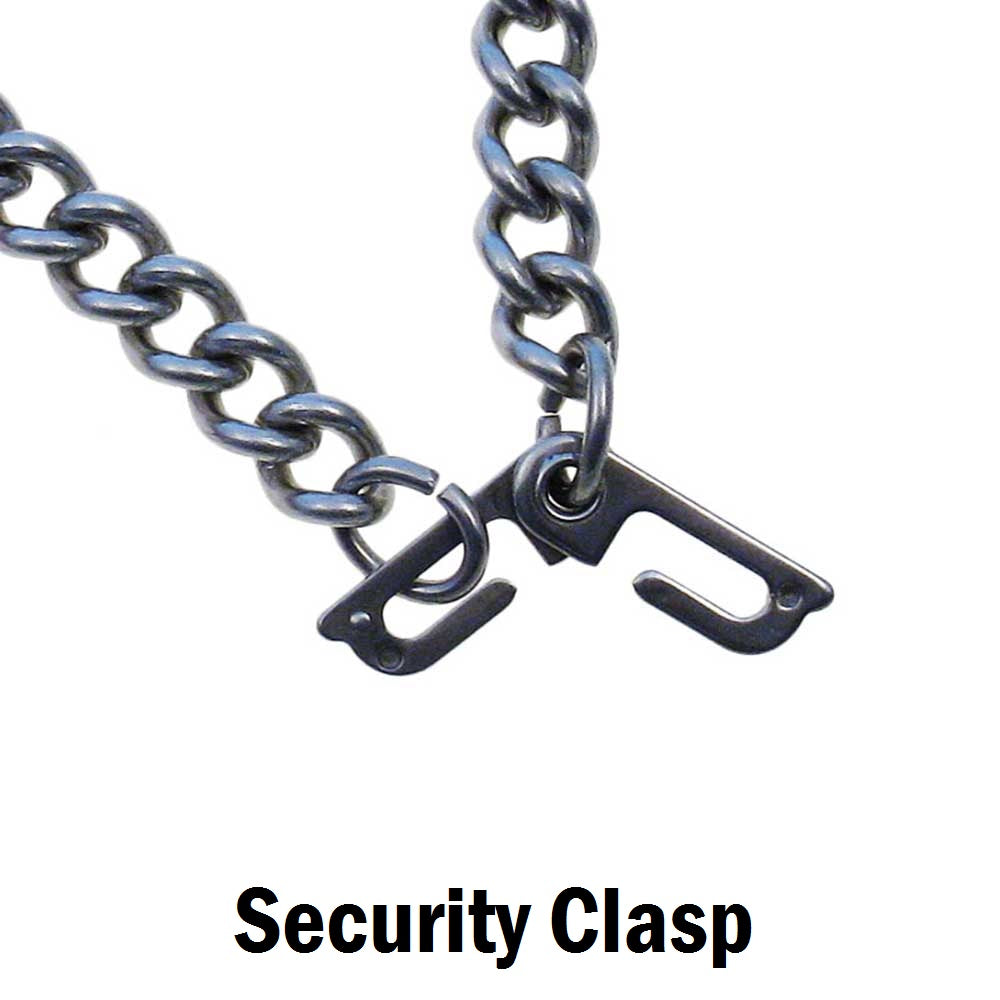 Security clasp